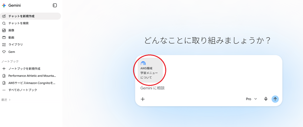 GeminiNotebook1-1