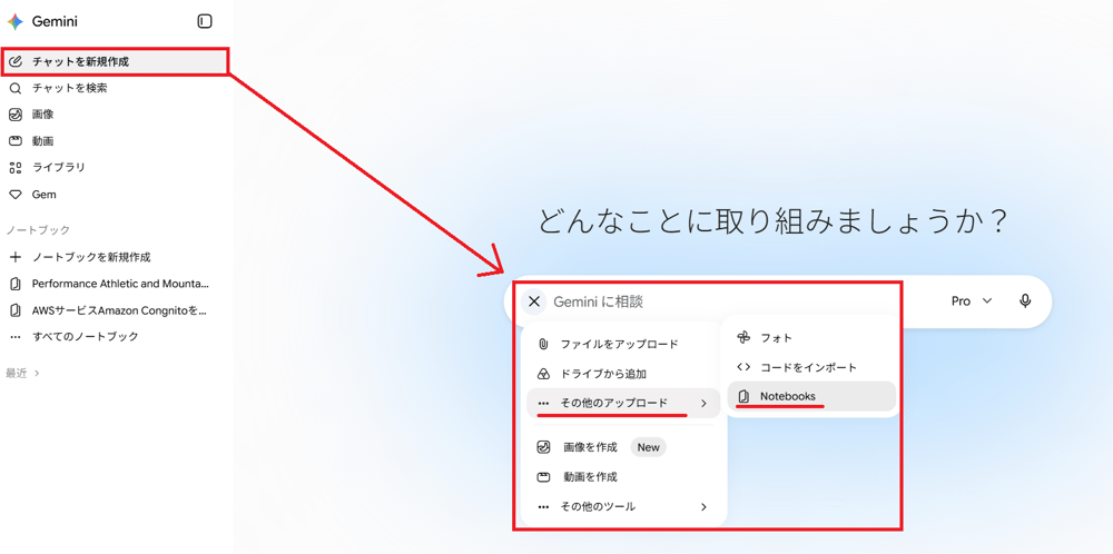 GeminiNotebook1